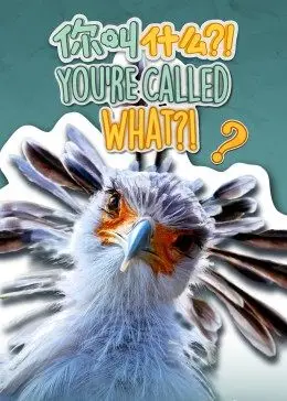 你叫什么?(英)(全集)