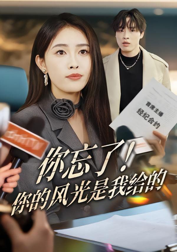 你忘了！你的风光是我给的(全集)